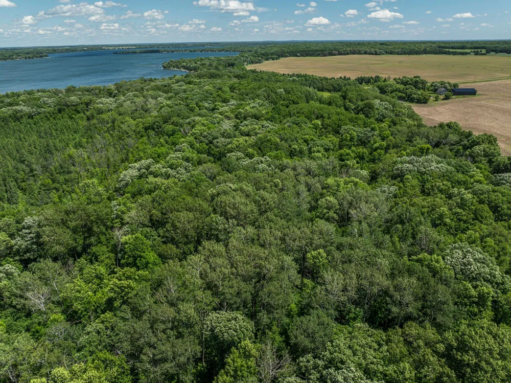 38XXX 385th Street Richville, MN 56576