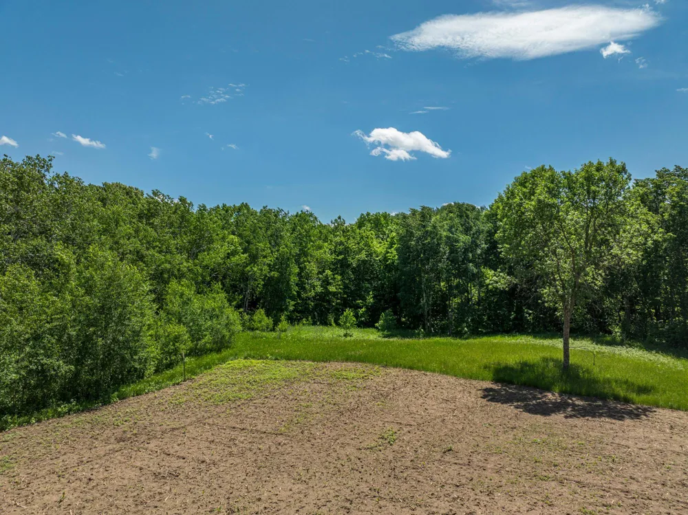 38XXX 385th Street Richville, MN 56576