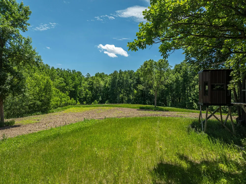 38XXX 385th Street Richville, MN 56576