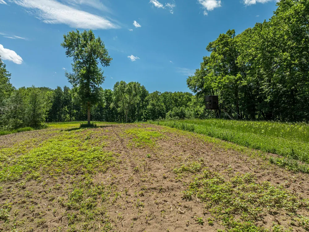 38XXX 385th Street Richville, MN 56576