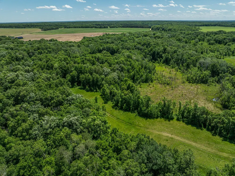 38XXX 385th Street Richville, MN 56576