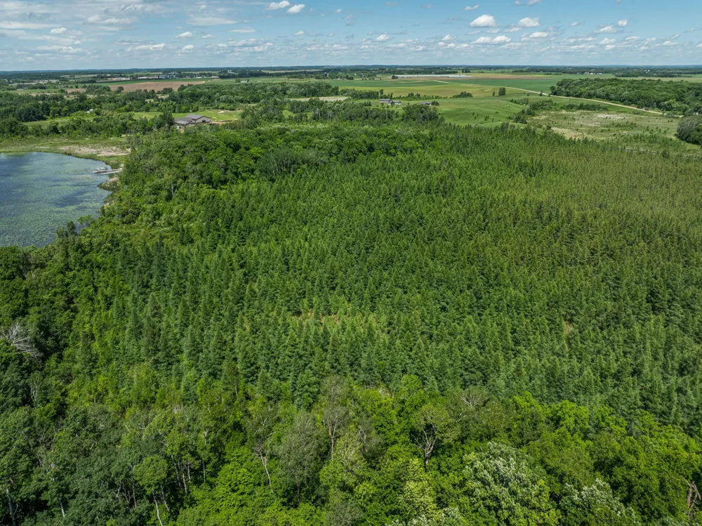 38XXX 385th Street Richville, MN 56576