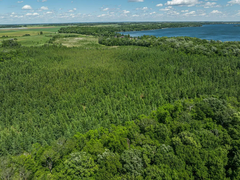 38XXX 385th Street Richville, MN 56576