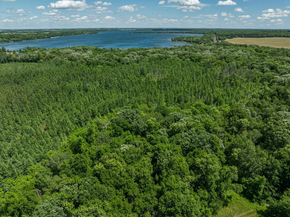 38XXX 385th Street Richville, MN 56576