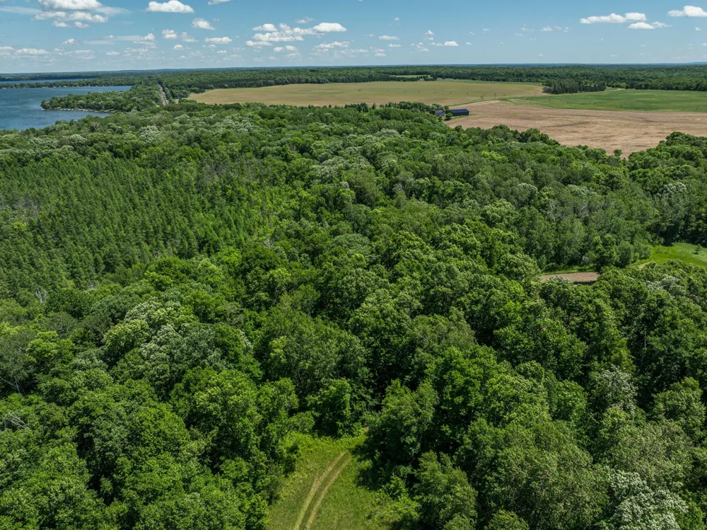 38XXX 385th Street Richville, MN 56576