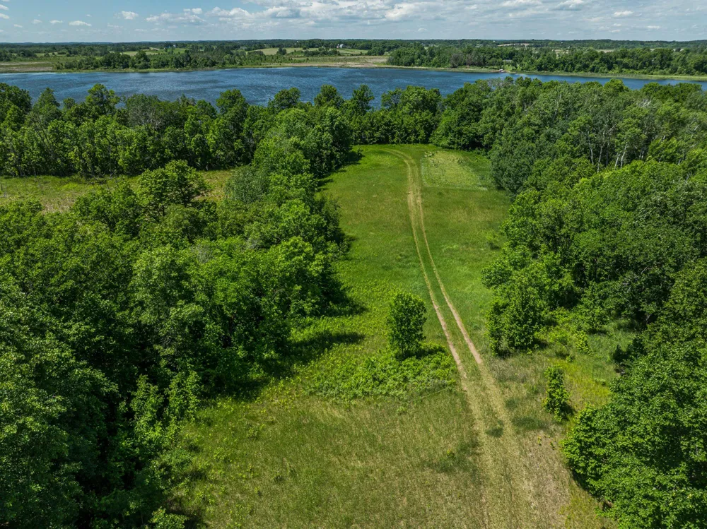 38XXX 385th Street Richville, MN 56576