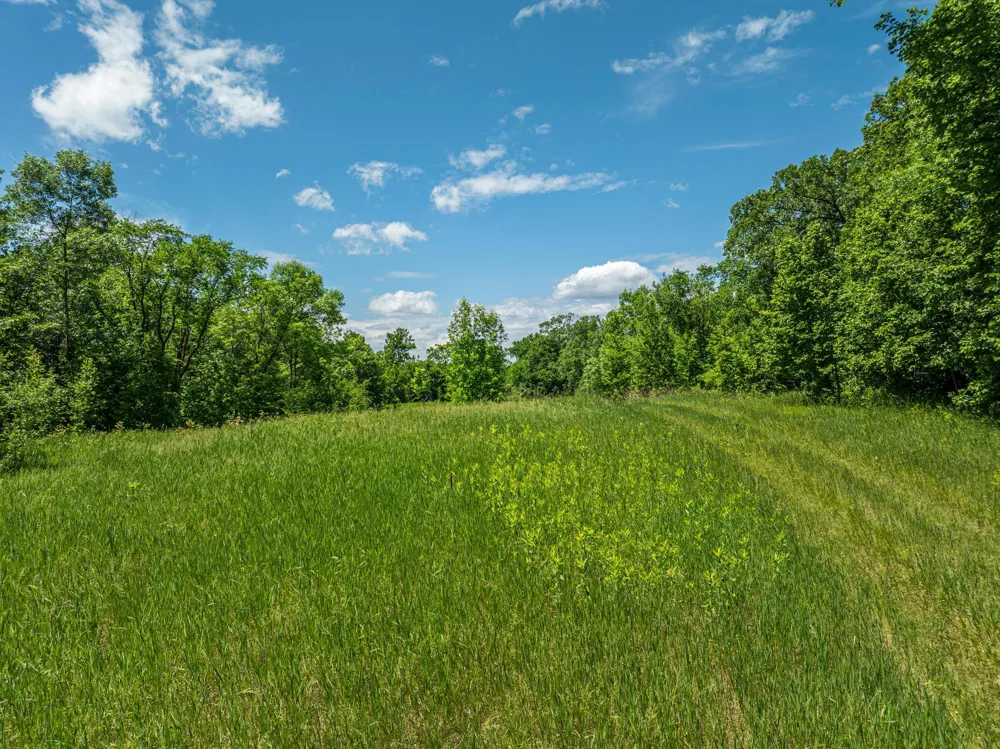38XXX 385th Street Richville, MN 56576