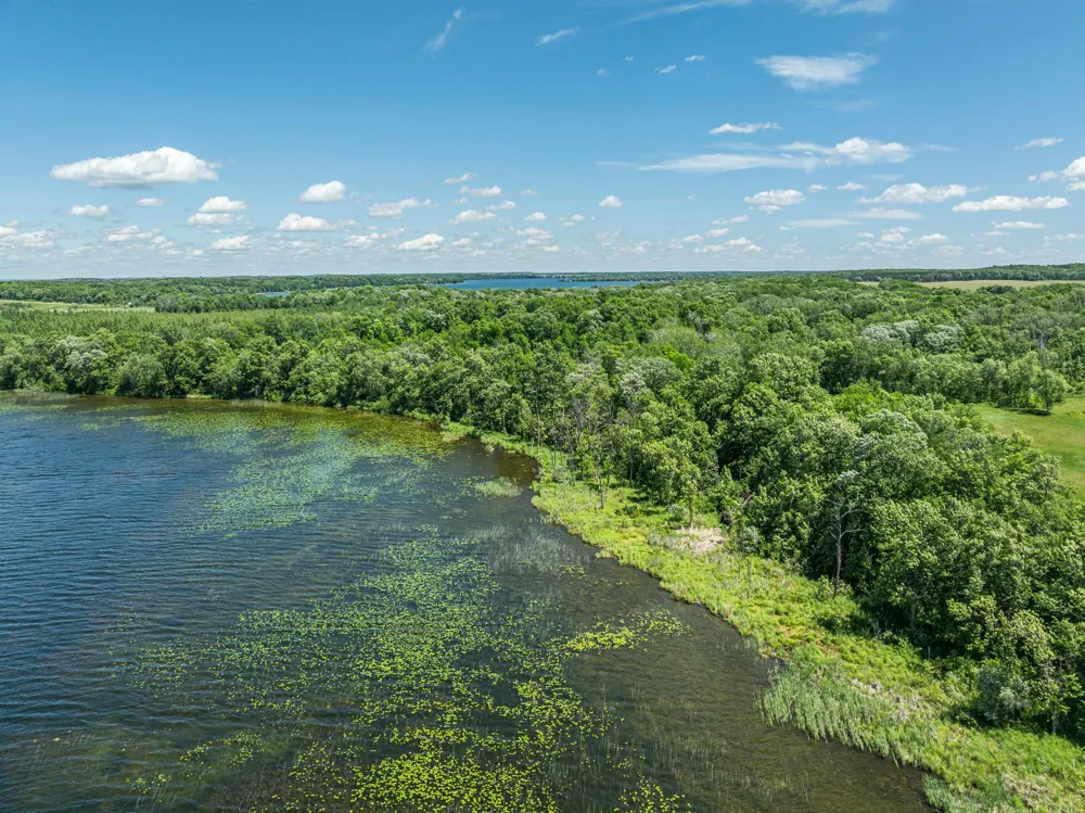 38XXX 385th Street Richville, MN 56576