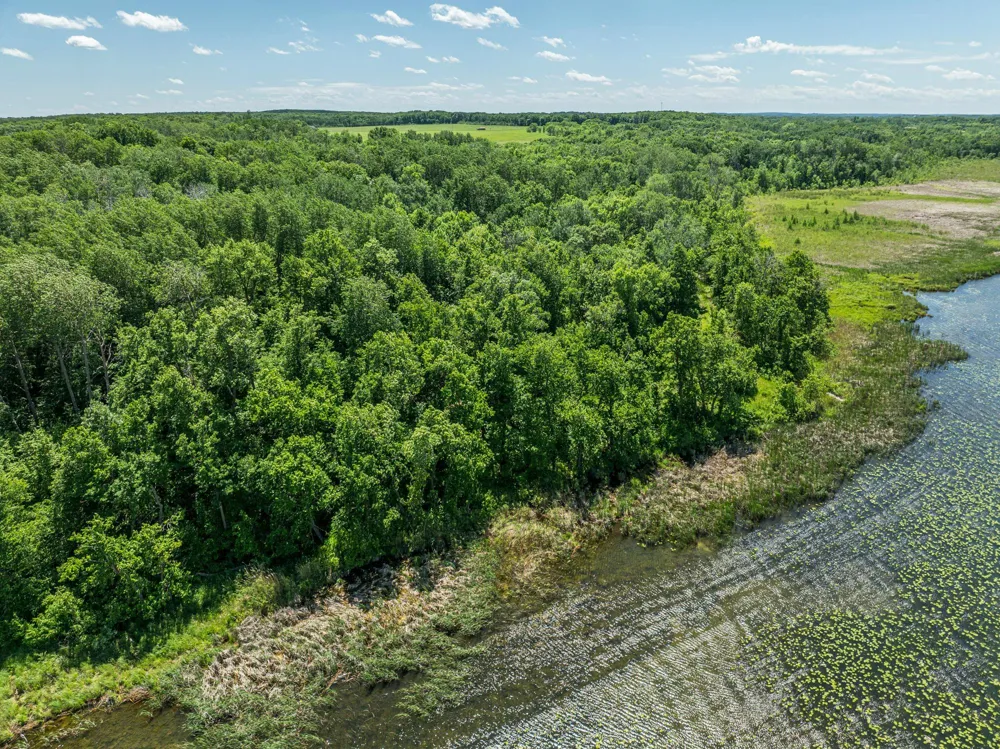 38XXX 385th Street Richville, MN 56576