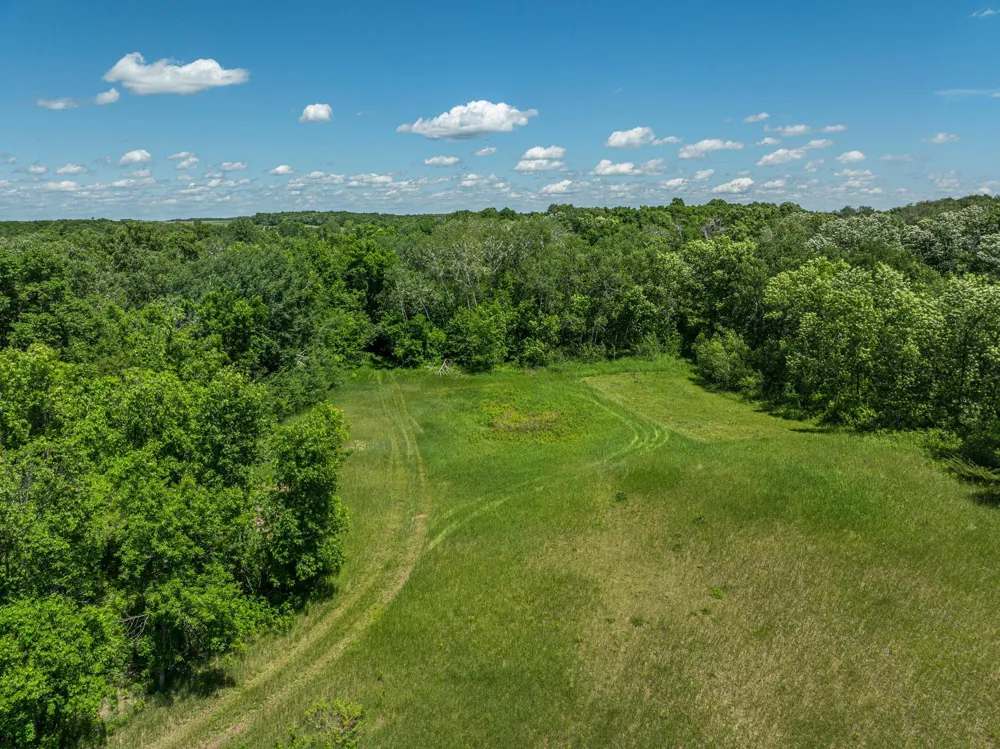 38XXX 385th Street Richville, MN 56576