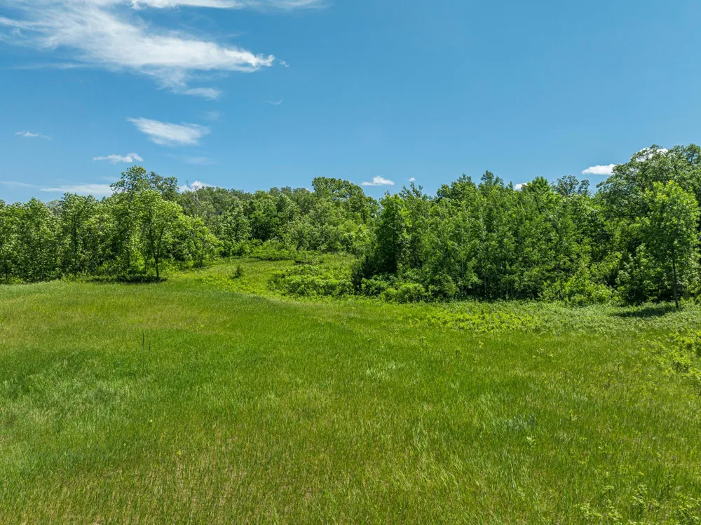 38XXX 385th Street Richville, MN 56576