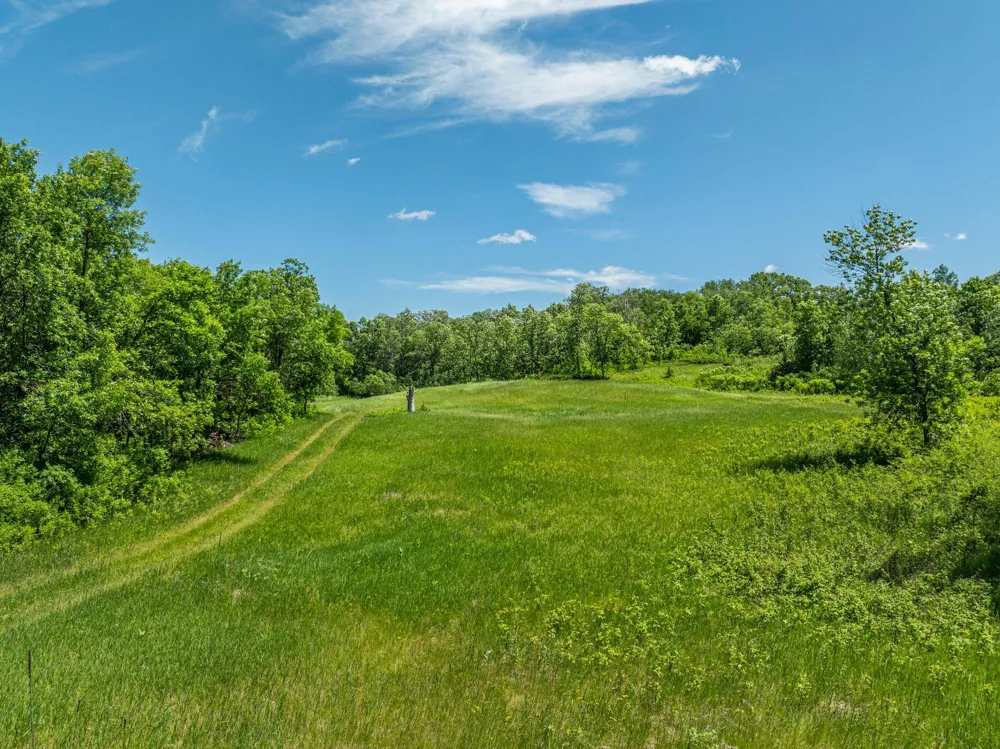 38XXX 385th Street Richville, MN 56576