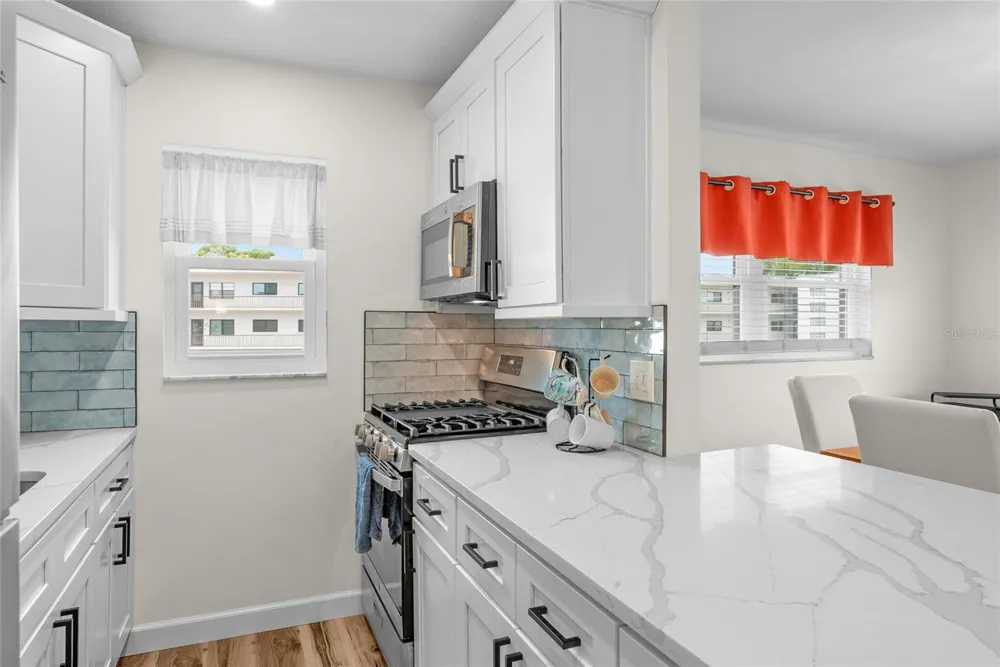 5967 TERRACE PARK DRIVE #201 St Petersburg, FL 33709