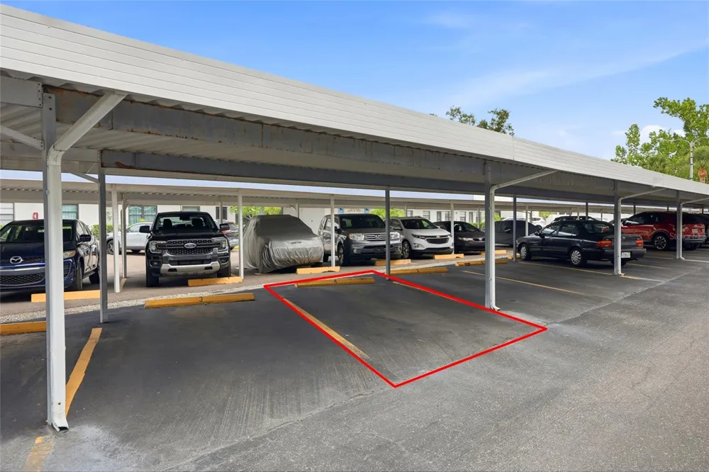 5967 TERRACE PARK DRIVE #201 St Petersburg, FL 33709
