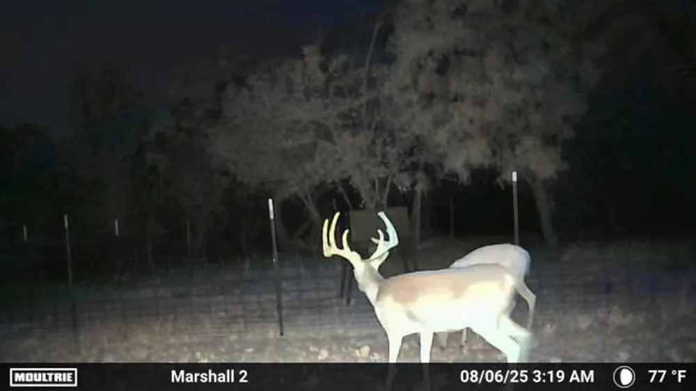 401 CR 498 Goldsboro, TX 79519