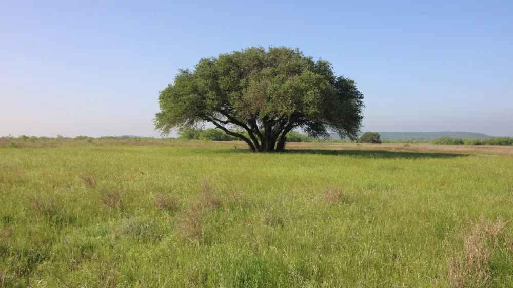 401 CR 498 Goldsboro, TX 79519