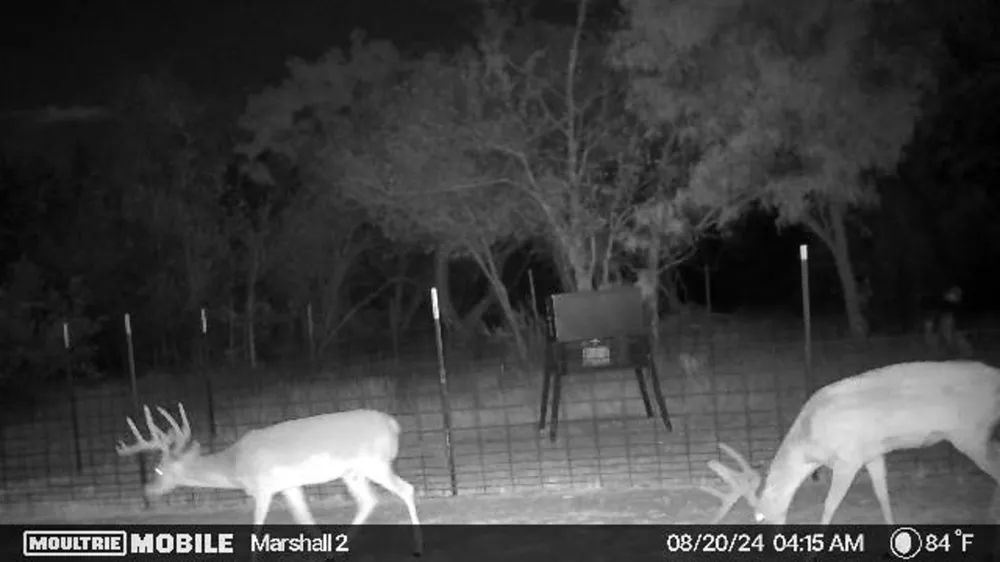 401 CR 498 Goldsboro, TX 79519