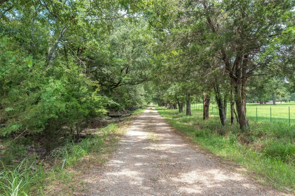 FM 1197 Yantis, TX 75497
