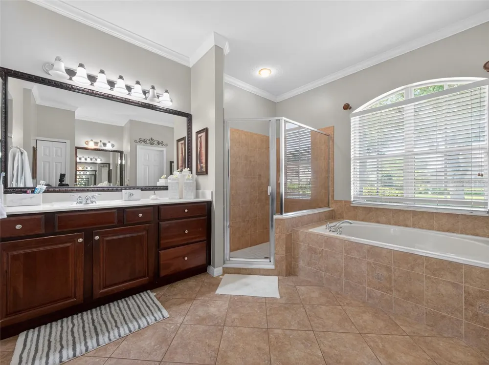 10354 OAKVIEW POINTE TERRACE Gotha, FL 34734