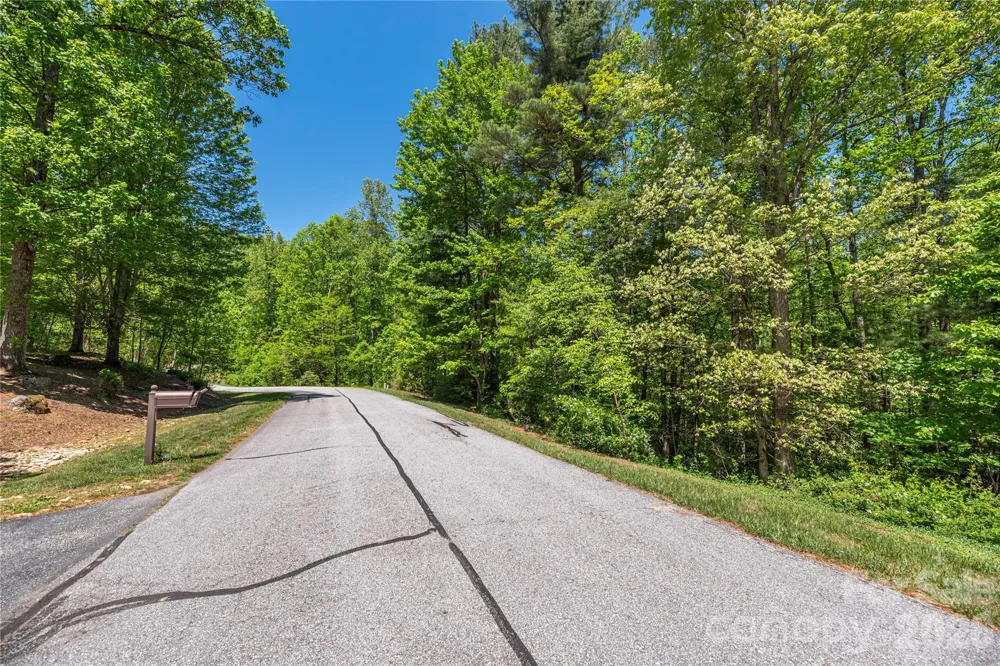 305 Freedom Trail Court Zirconia, NC 28790