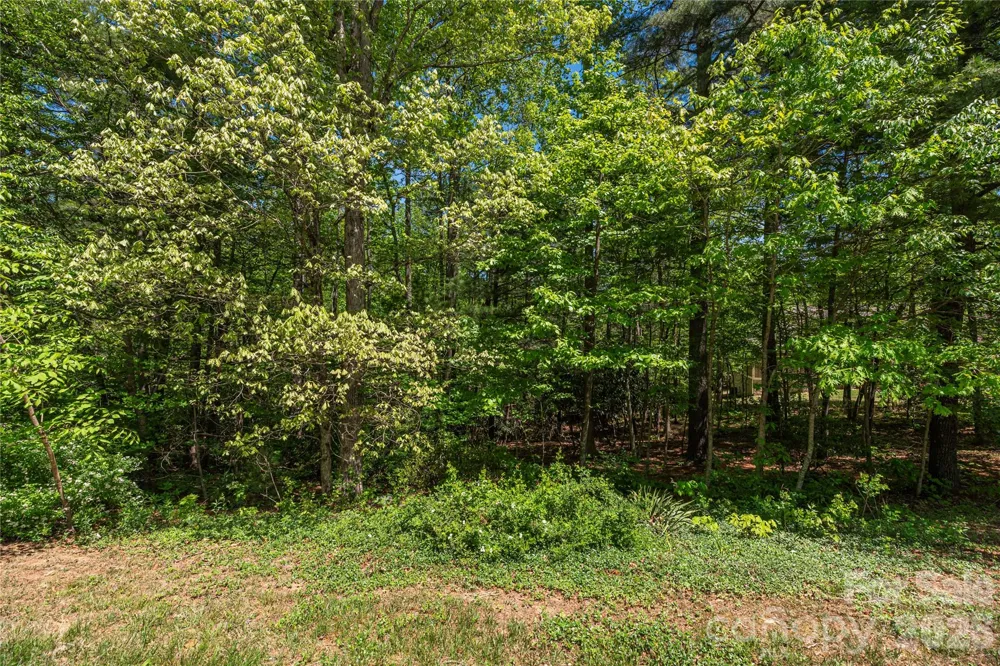305 & 349 Freedom Trail Court Zirconia, NC 28790