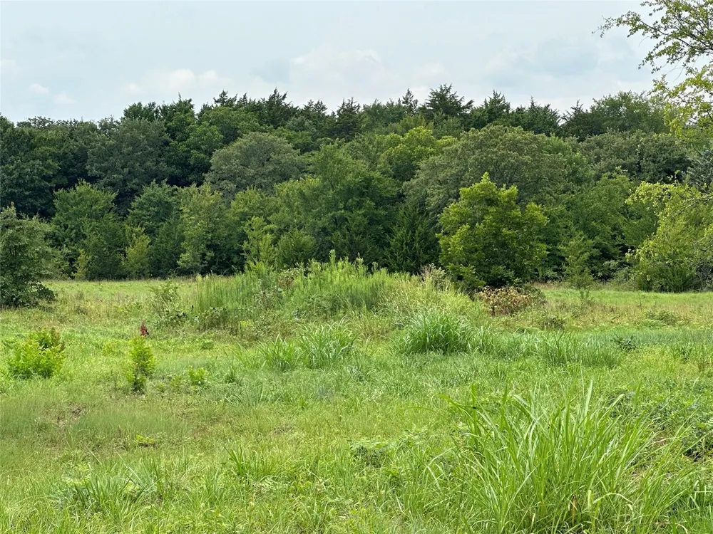 Fm 678 Whitesboro, TX 76273