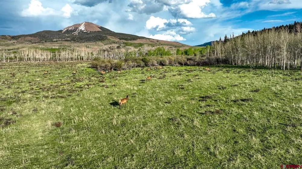 County Road M44 Placerville, CO 81423