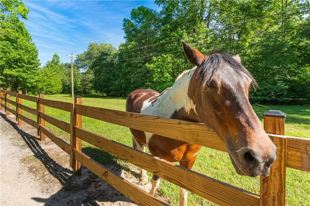 451 Pinecrest Road Sautee Nacoochee, GA 30571