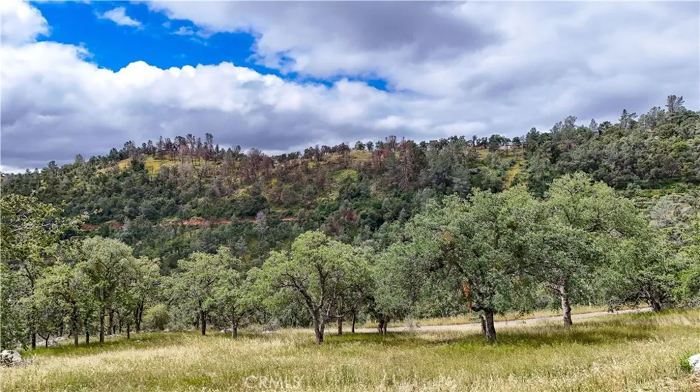 5616 Gold Creek Mariposa, CA 95338