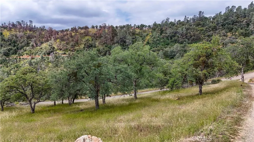5616 Gold Creek Mariposa, CA 95338