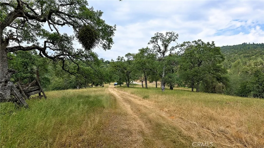 5616 Gold Creek Mariposa, CA 95338