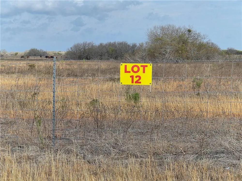 12 2180 County Road E Kingsville, TX 78363