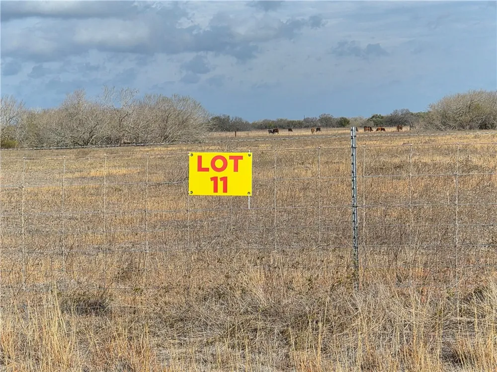 11 2180 County Road E Kingsville, TX 78363
