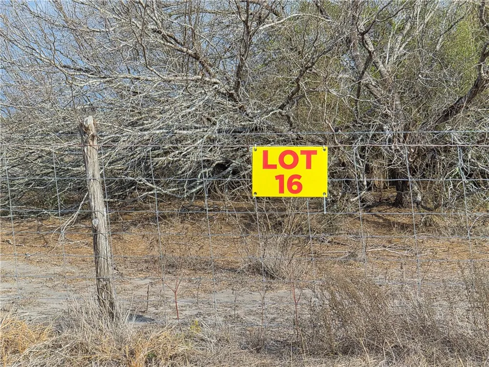 16 2180 County Road E Kingsville, TX 78363