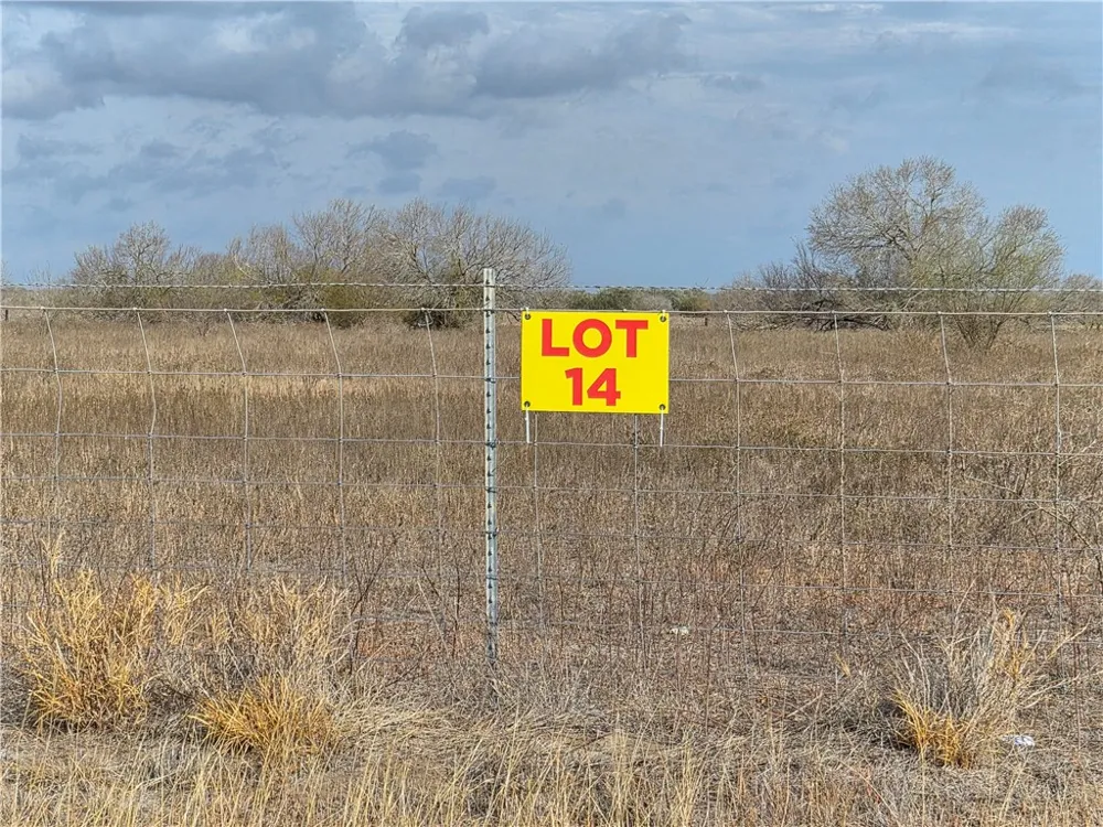 14 2180 County Road E Kingsville, TX 78363