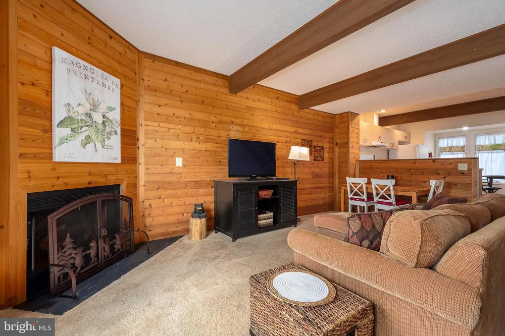 58 BRIGHT PASSAGE #6B Mc Henry, MD 21541