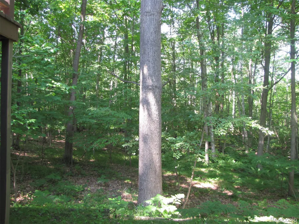 1576 Pine Knoll Lane Indianfields Township, MI 48723