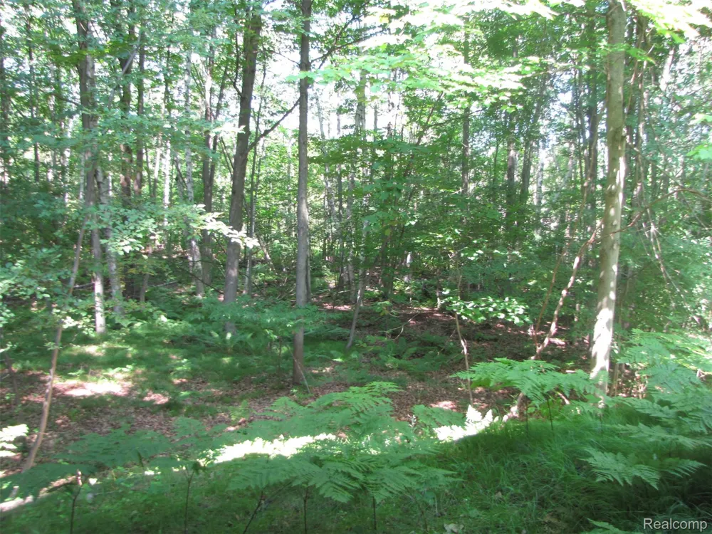 1576 Pine Knoll Lane Indianfields Township, MI 48723