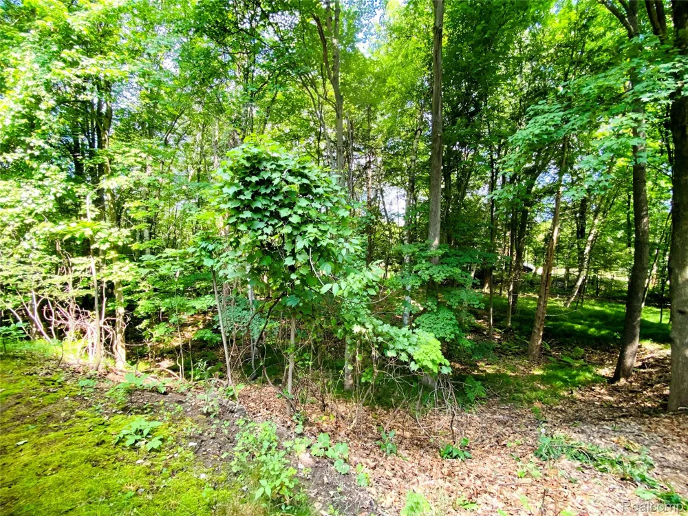 1576 Pine Knoll Lane Indianfields Township, MI 48723
