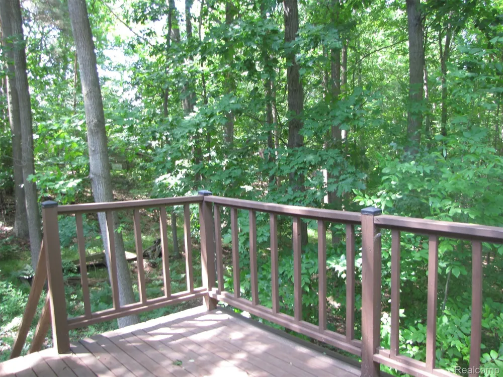 1576 Pine Knoll Lane Indianfields Township, MI 48723