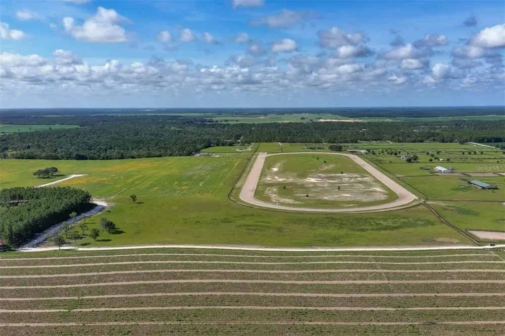 2351 NE 120 AVENUE Williston, FL 32696