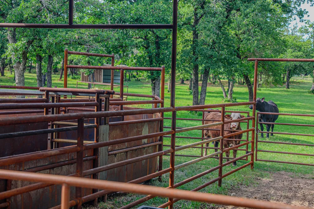 6085 County Road 146 Lipan, TX 76462