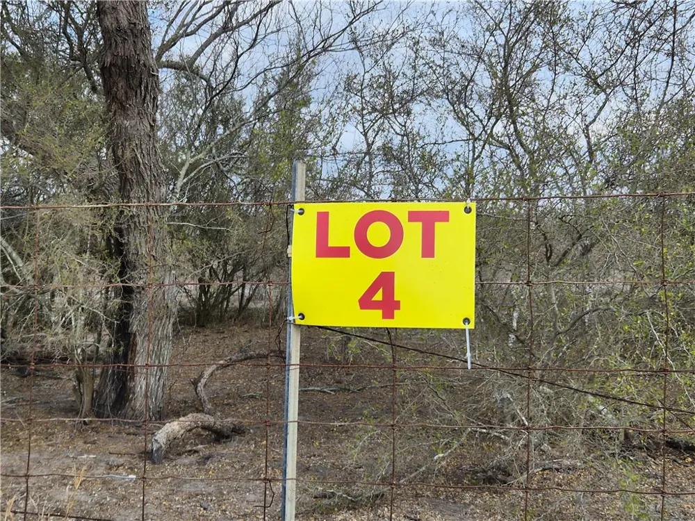 4 2180 County Road E Kingsville, TX 78363