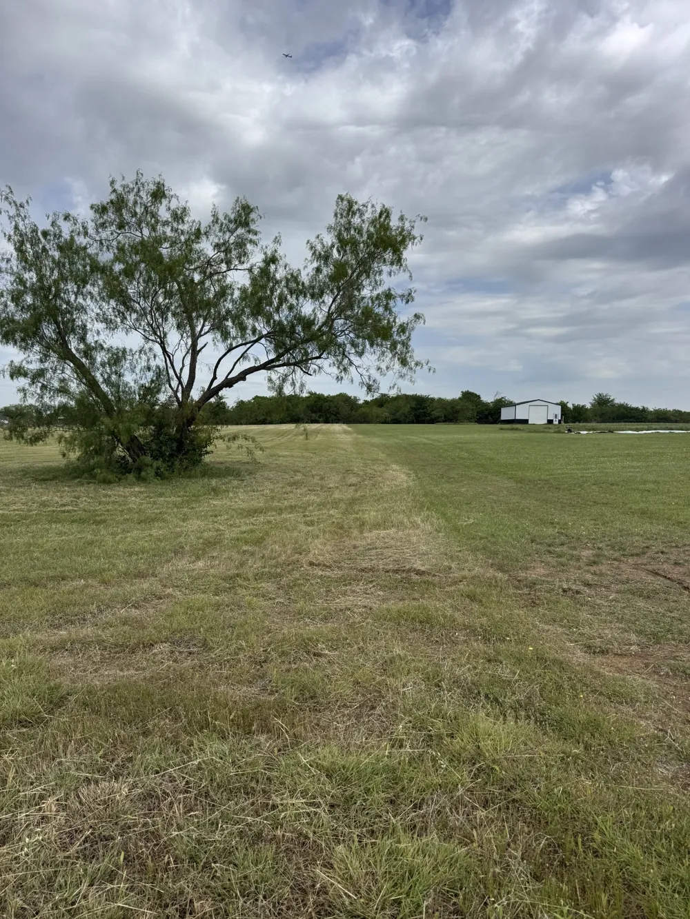 220 Martingale Drive Oak Point, TX 75068
