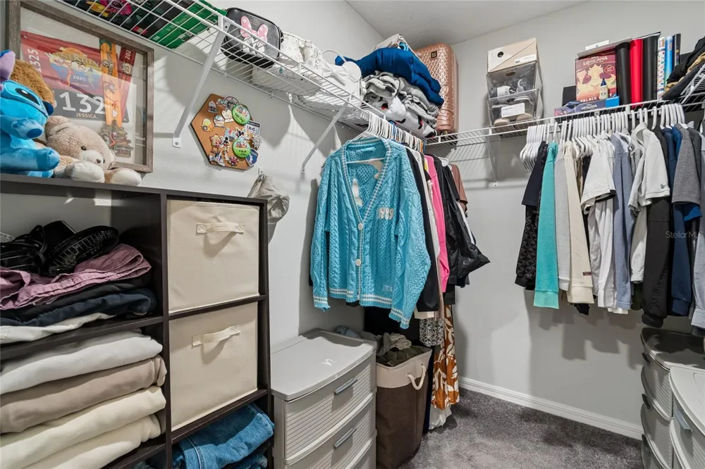 4733 DEER TRACK STREET Tampa, FL 33610