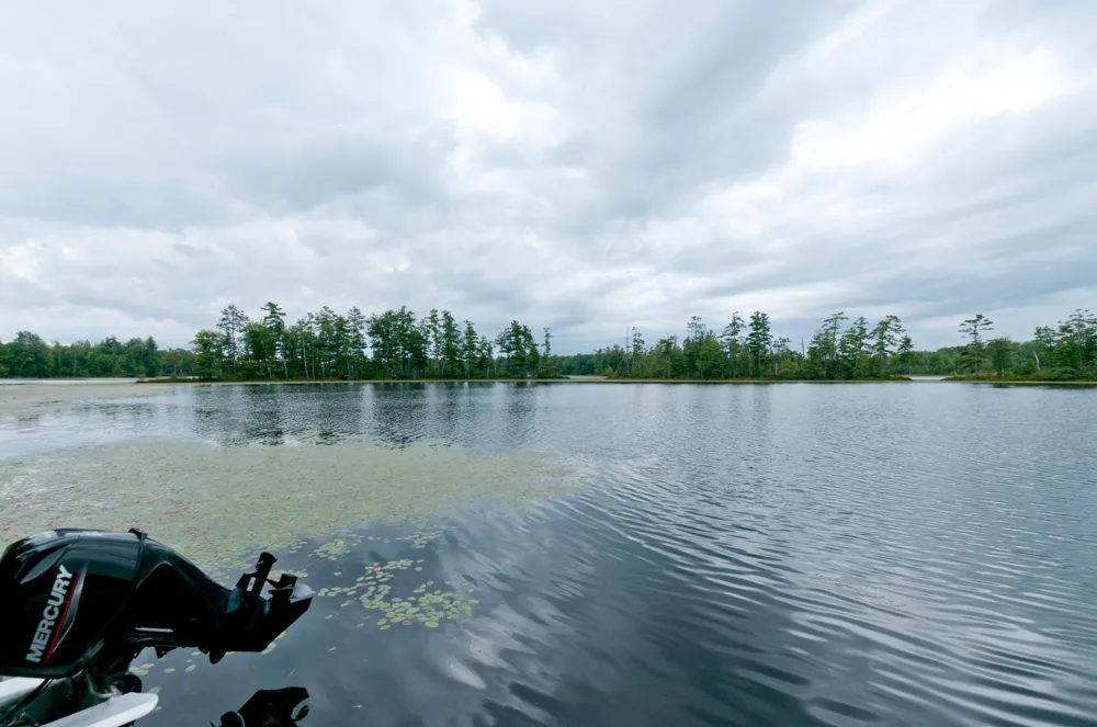 W15949 Bass Lake Road Weyerhaeuser, WI 54895