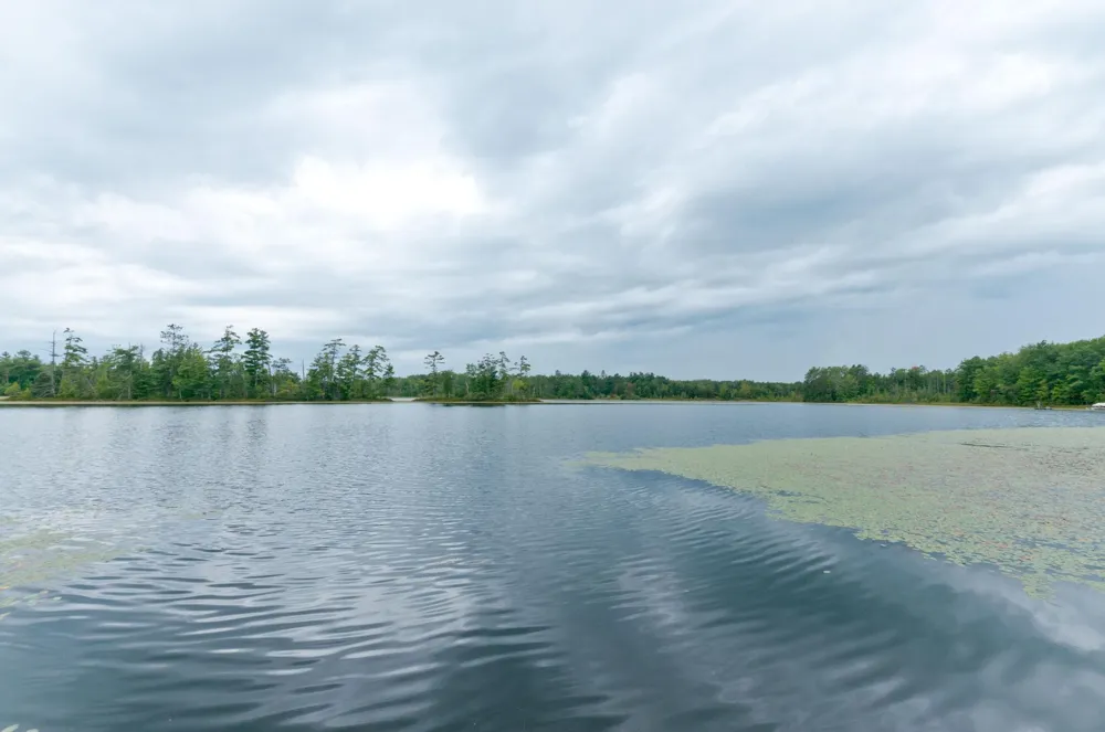 W15949 Bass Lake Road Weyerhaeuser, WI 54895