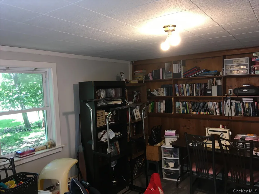 29 Nelshore Drive Monticello, NY 12701