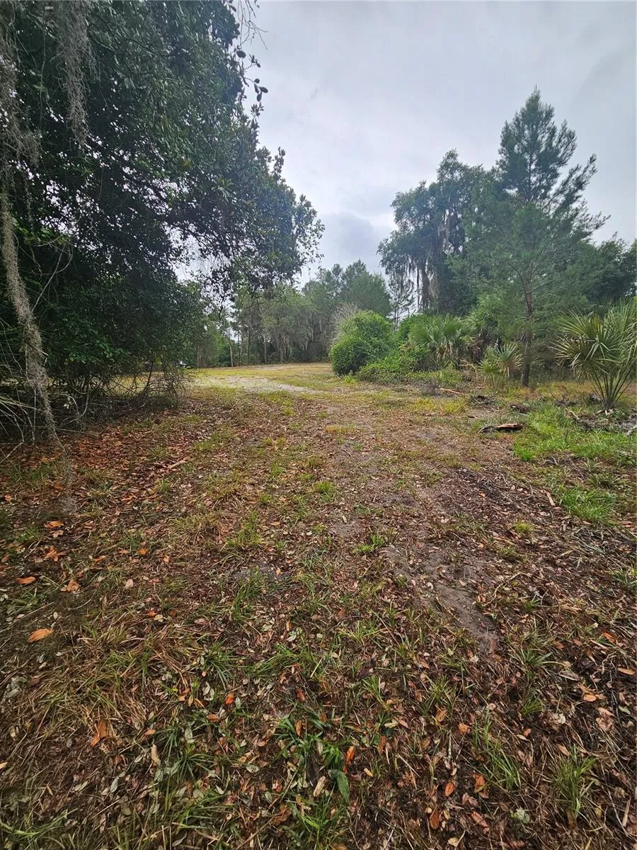 0 CULVER WAY Geneva, FL 32732