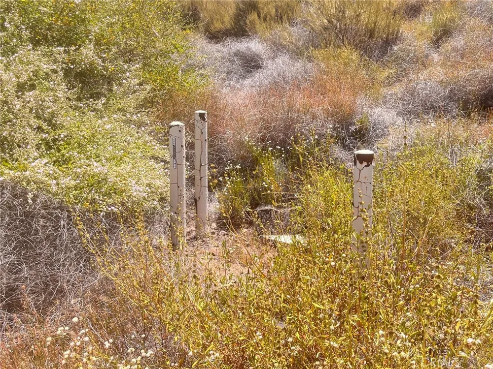 Renee Drive Agoura Hills, CA 91301